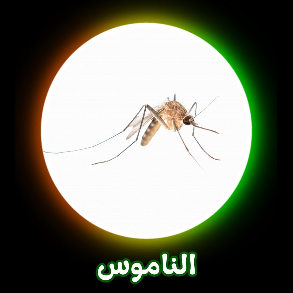 شركة مكافحة الناموس