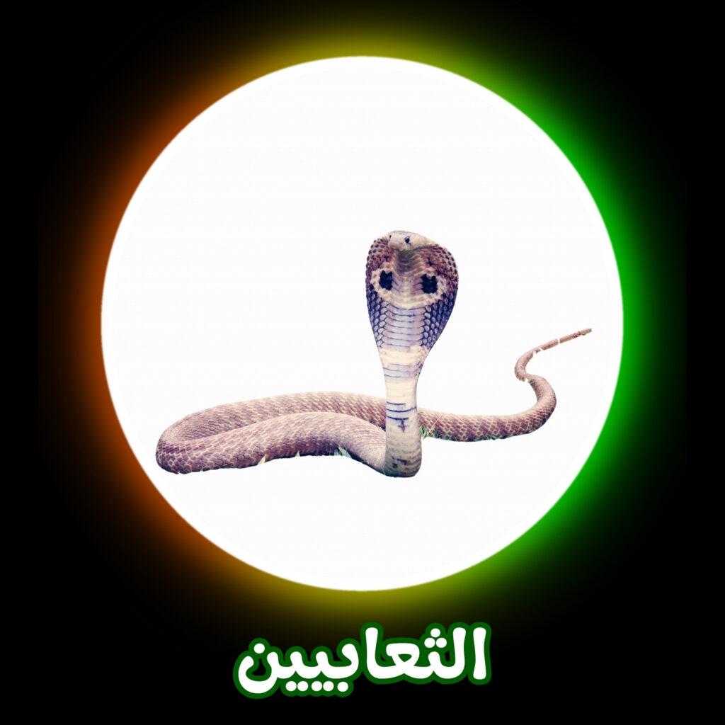 أفضل شركة للتخلص من الثعابيين