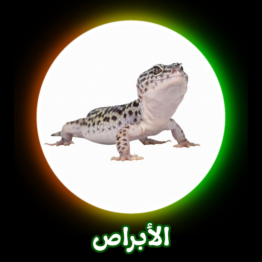 أفضل شركة للتخلص من الأبراص