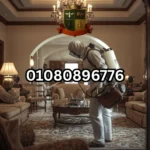 شركة مكافحة حشرات في الشيخ زايد